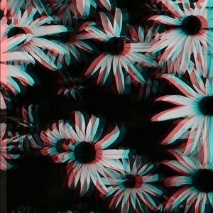 Meet your Posher, Sierra